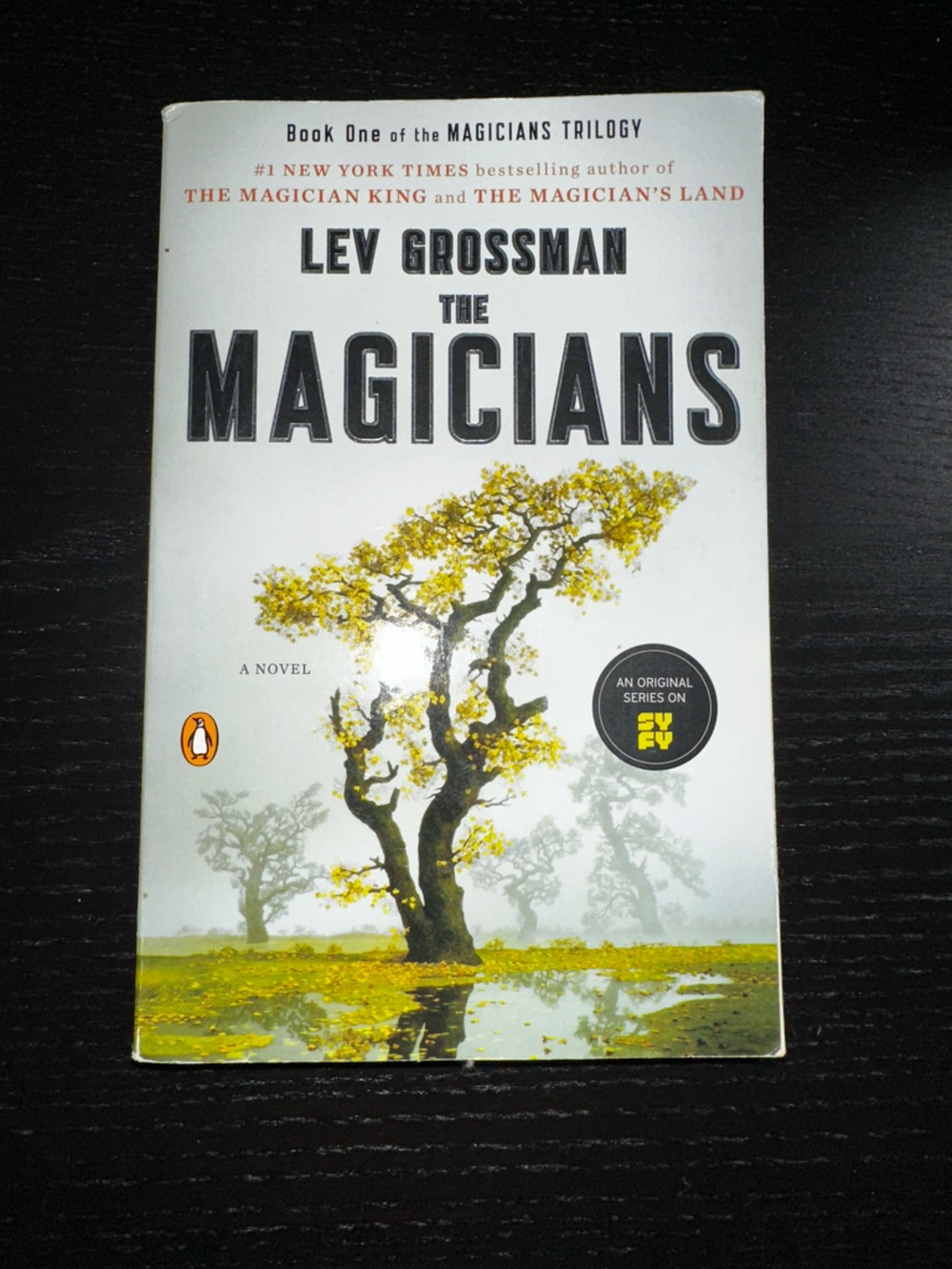 The Magicians Paperback Book with Yellow and Green Tree Artwork